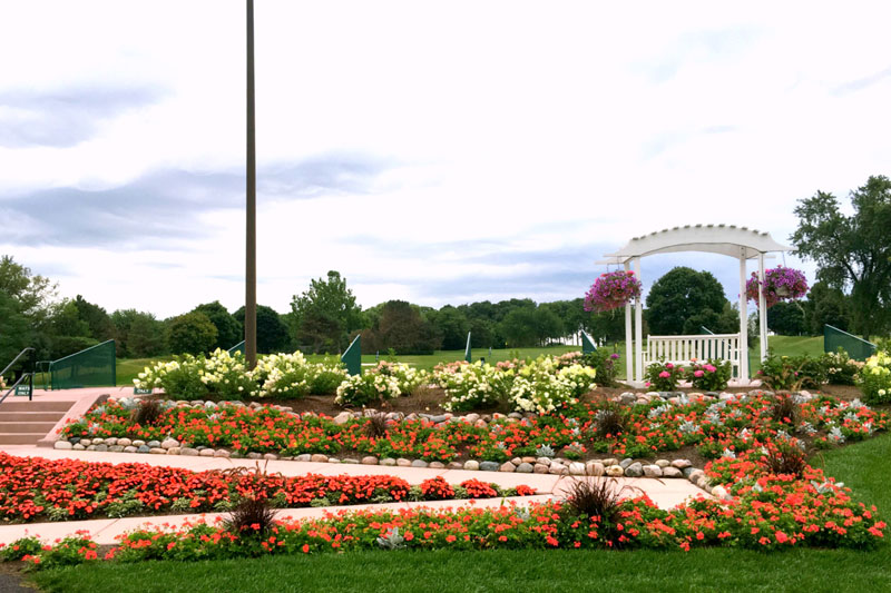 ArrowHead flower garden