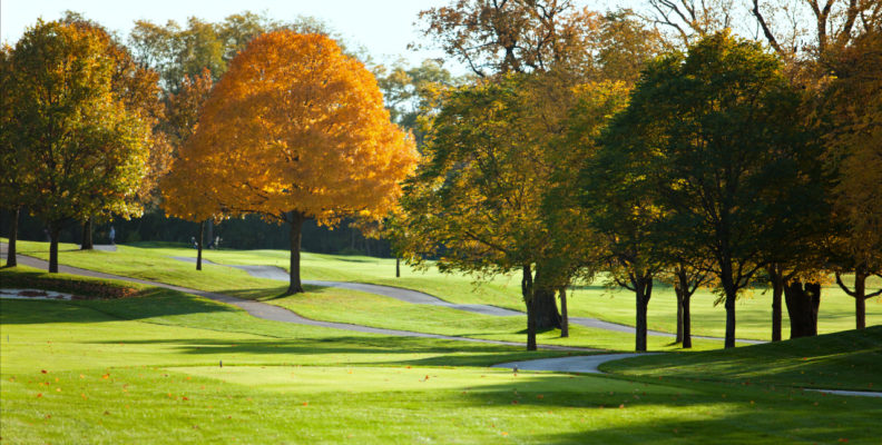 ArrowHead Golf Course with fall color trees