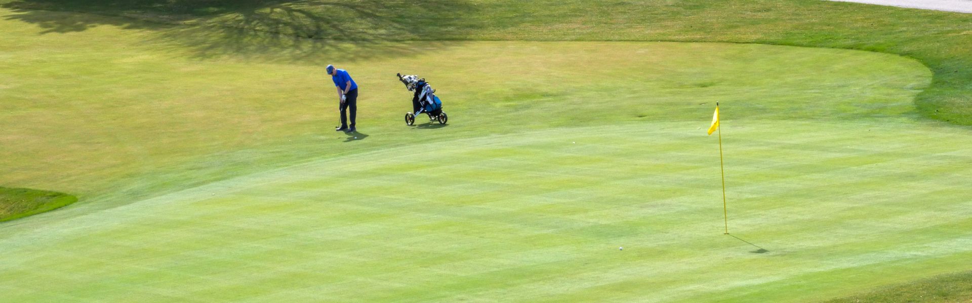 Golfer preparing to putt the ball into hole